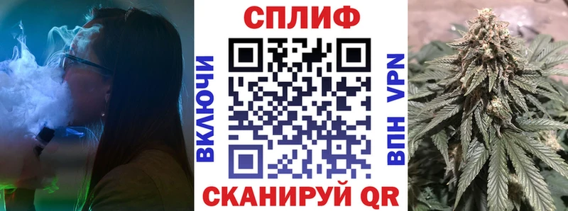 MEGA ССЫЛКА Талица Каннабис сатива